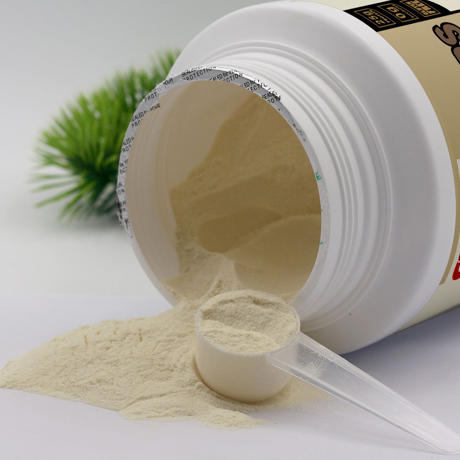 蛹蟲草蛋白粉：功效、適宜人群與科學(xué)認(rèn)知