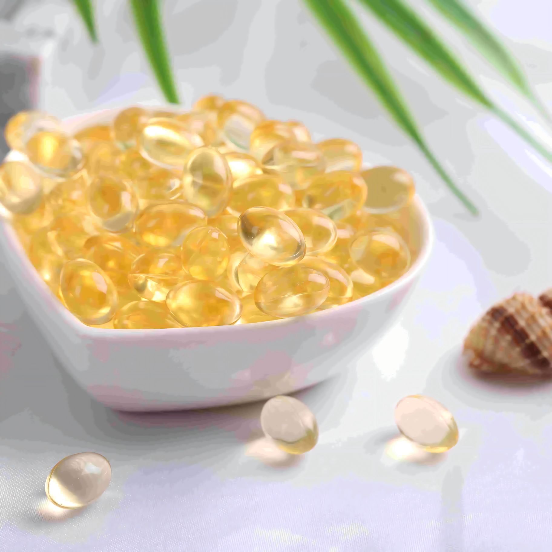 天然守護(hù)者--大蒜油軟膠囊